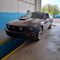 mustang coby